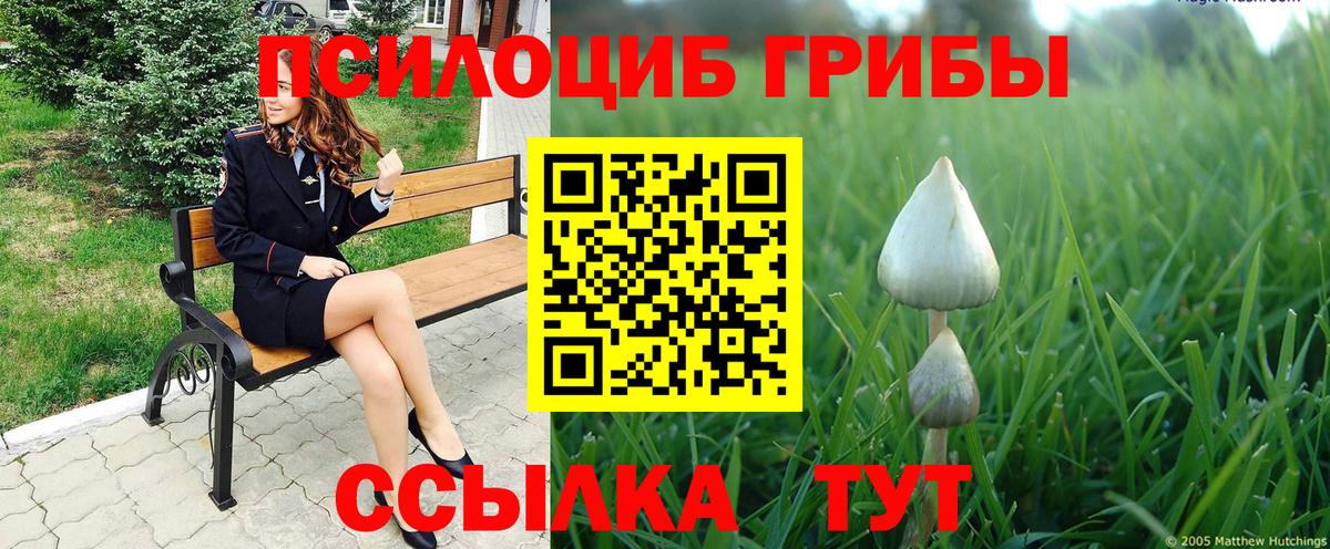 Галлюциногенные грибы GOLDEN TEACHER Балабаново